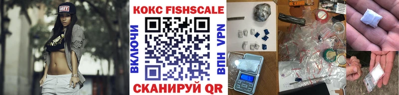 Cocaine Fish Scale  Купить  Городовиковск 
