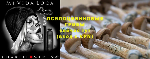 соль ск Зерноград