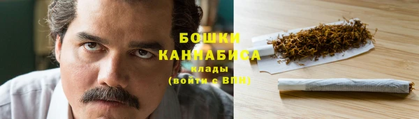 СК Зеленокумск