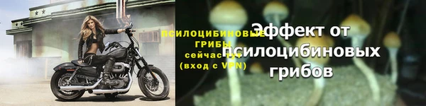 первитин Заводоуковск