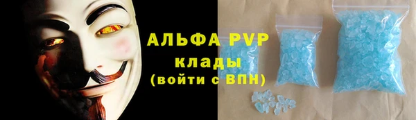 СК Зеленокумск