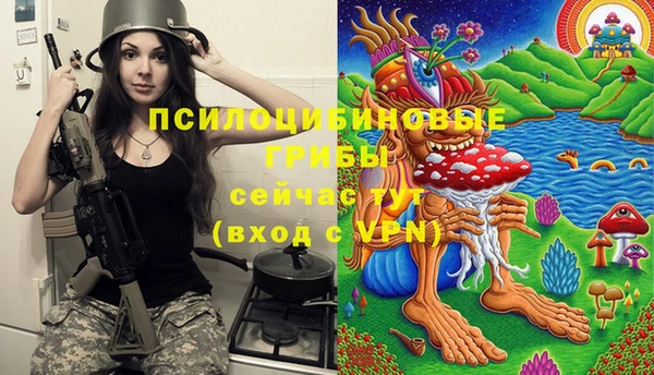 соль ск Зерноград